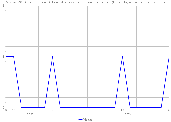 Visitas 2024 de Stichting Administratiekantoor Foam Projecten (Holanda) 