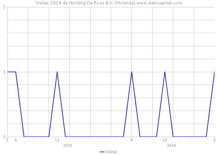 Visitas 2024 de Holding De Roos B.V. (Holanda) 