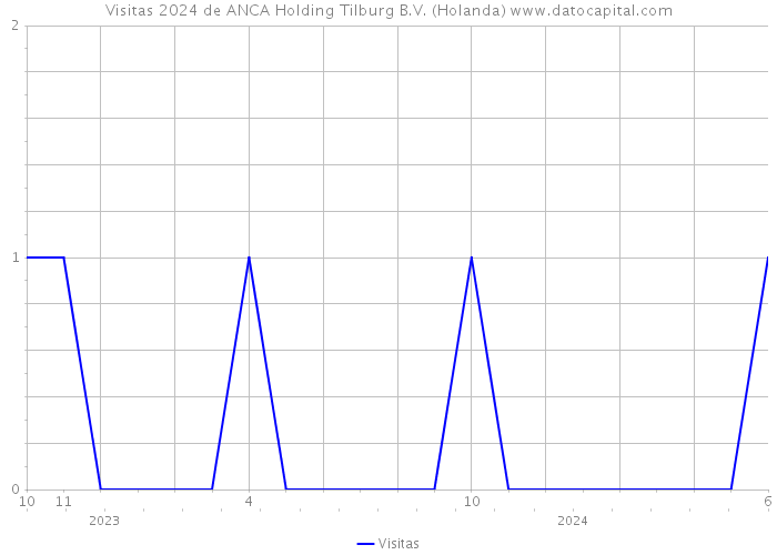 Visitas 2024 de ANCA Holding Tilburg B.V. (Holanda) 