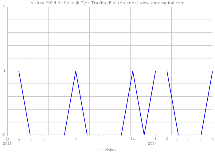 Visitas 2024 de Reedijk Tyre Trading B.V. (Holanda) 