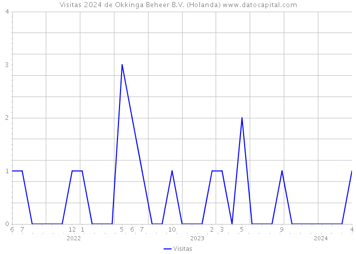 Visitas 2024 de Okkinga Beheer B.V. (Holanda) 