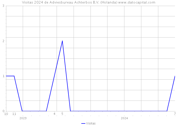 Visitas 2024 de Adviesbureau Achterbos B.V. (Holanda) 