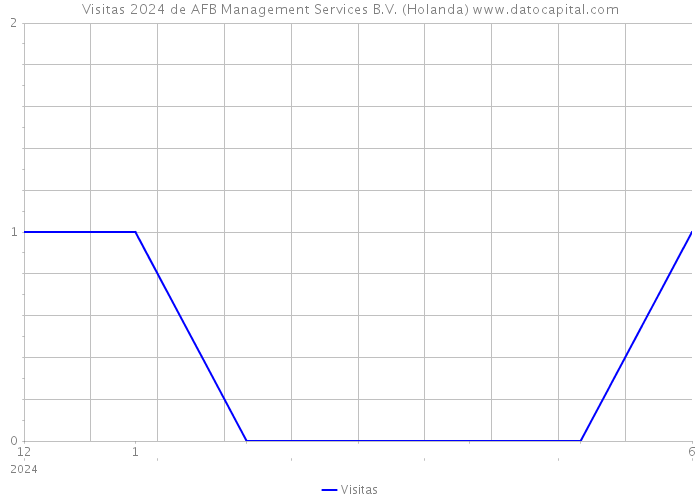 Visitas 2024 de AFB Management Services B.V. (Holanda) 