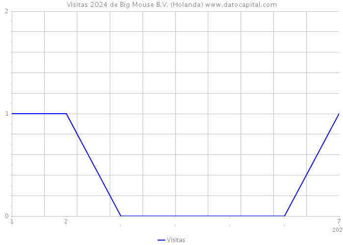 Visitas 2024 de Big Mouse B.V. (Holanda) 