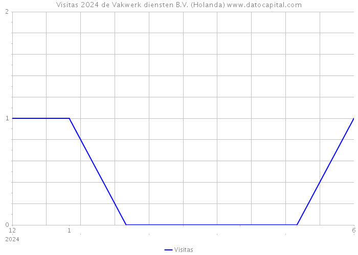 Visitas 2024 de Vakwerk diensten B.V. (Holanda) 