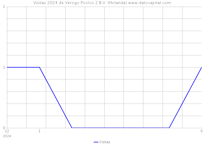 Visitas 2024 de Verogo Poolco 2 B.V. (Holanda) 