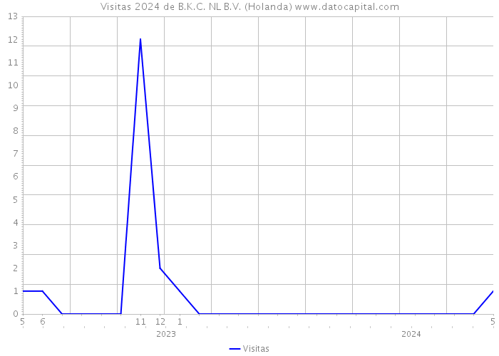 Visitas 2024 de B.K.C. NL B.V. (Holanda) 