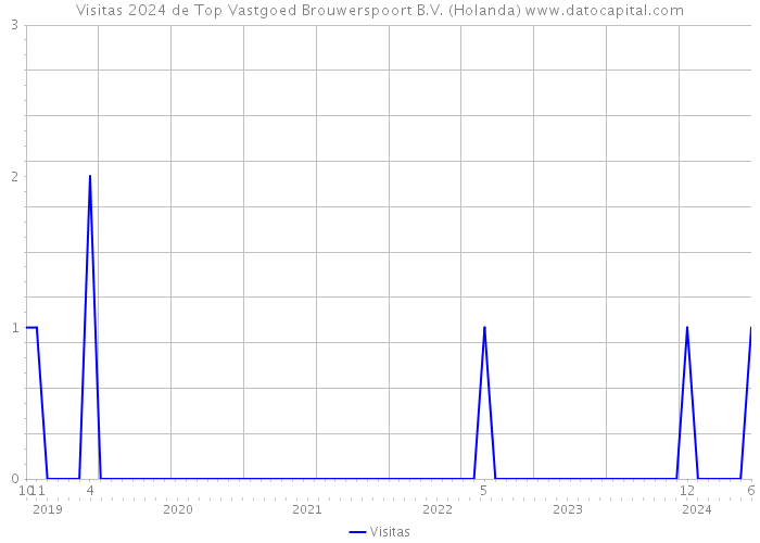 Visitas 2024 de Top Vastgoed Brouwerspoort B.V. (Holanda) 