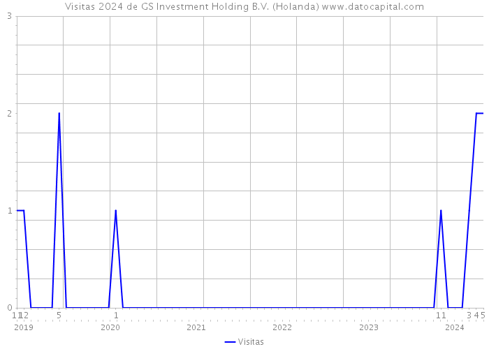 Visitas 2024 de GS Investment Holding B.V. (Holanda) 