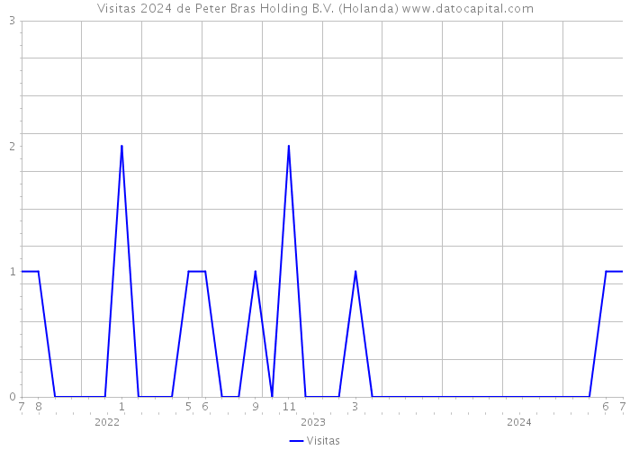 Visitas 2024 de Peter Bras Holding B.V. (Holanda) 