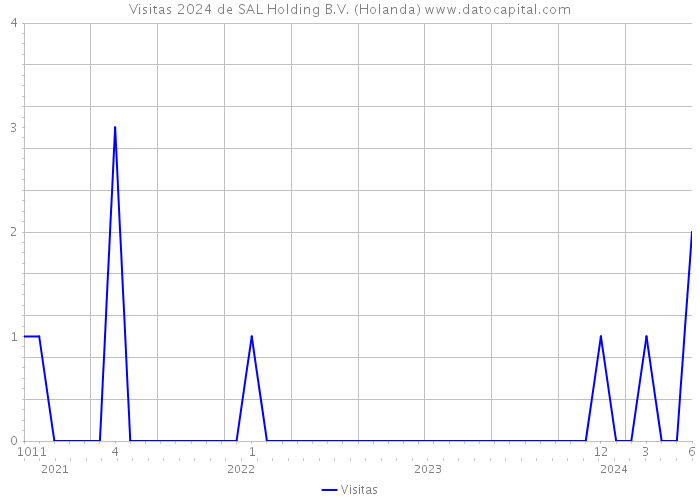 Visitas 2024 de SAL Holding B.V. (Holanda) 