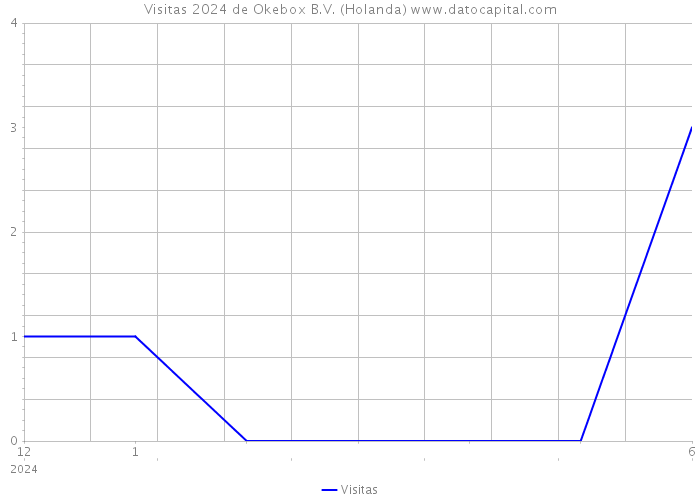 Visitas 2024 de Okebox B.V. (Holanda) 