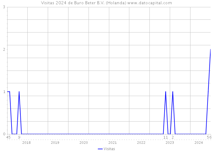 Visitas 2024 de Buro Beter B.V. (Holanda) 