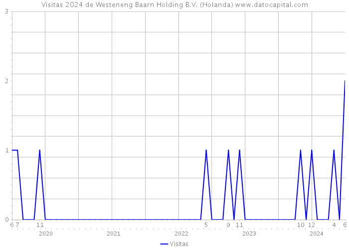 Visitas 2024 de Westeneng Baarn Holding B.V. (Holanda) 