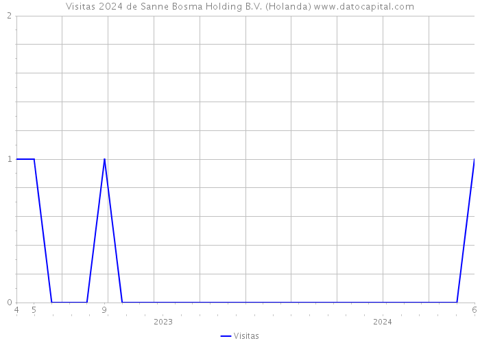 Visitas 2024 de Sanne Bosma Holding B.V. (Holanda) 