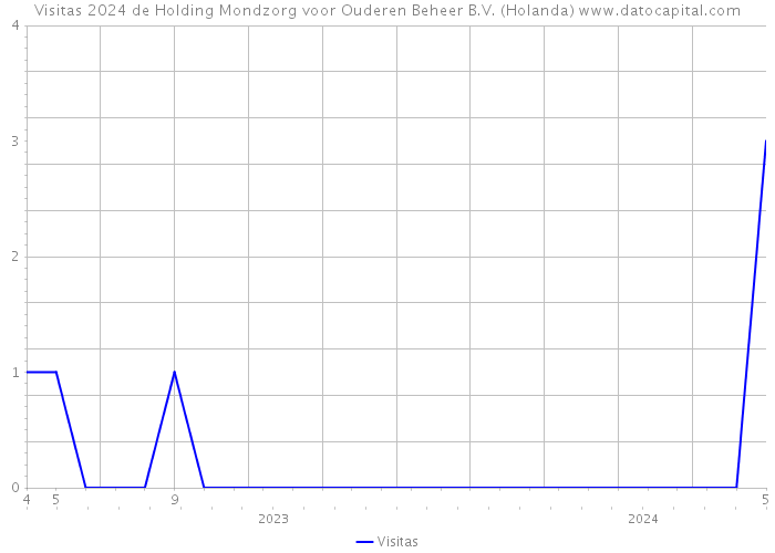 Visitas 2024 de Holding Mondzorg voor Ouderen Beheer B.V. (Holanda) 
