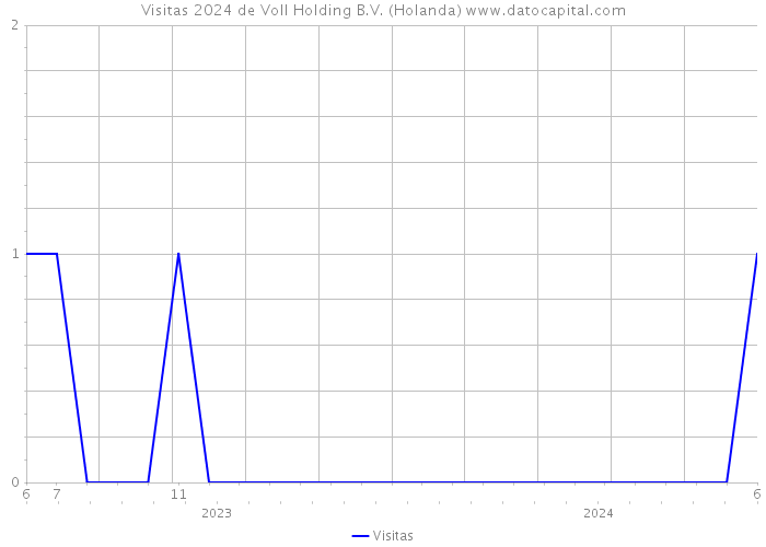 Visitas 2024 de Voll Holding B.V. (Holanda) 