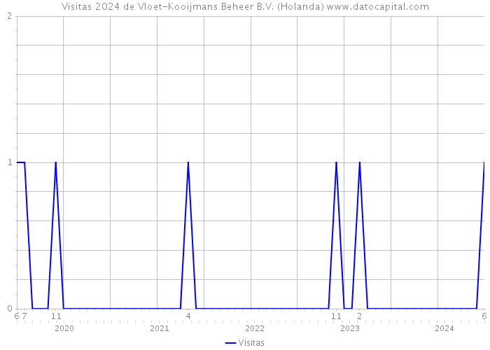 Visitas 2024 de Vloet-Kooijmans Beheer B.V. (Holanda) 