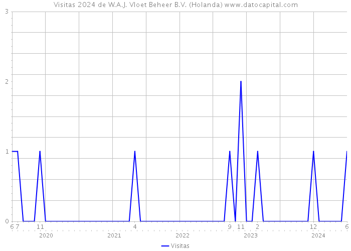 Visitas 2024 de W.A.J. Vloet Beheer B.V. (Holanda) 