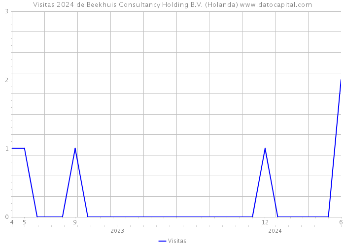 Visitas 2024 de Beekhuis Consultancy Holding B.V. (Holanda) 