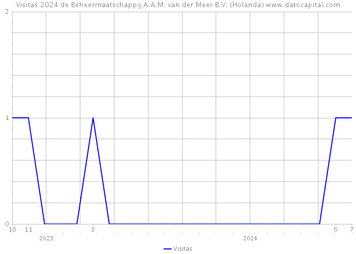 Visitas 2024 de Beheermaatschappij A.A.M. van der Meer B.V. (Holanda) 