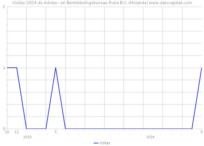 Visitas 2024 de Advies- en Bemiddelingsbureau Roka B.V. (Holanda) 