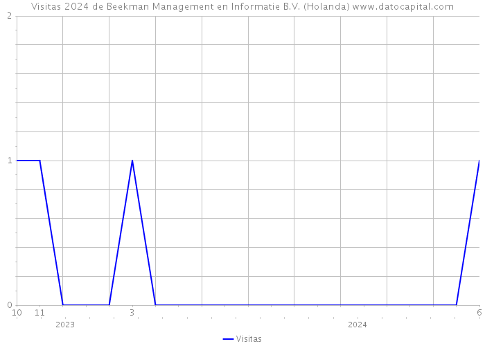 Visitas 2024 de Beekman Management en Informatie B.V. (Holanda) 