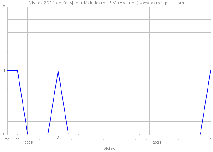 Visitas 2024 de Kaasjager Makelaardij B.V. (Holanda) 