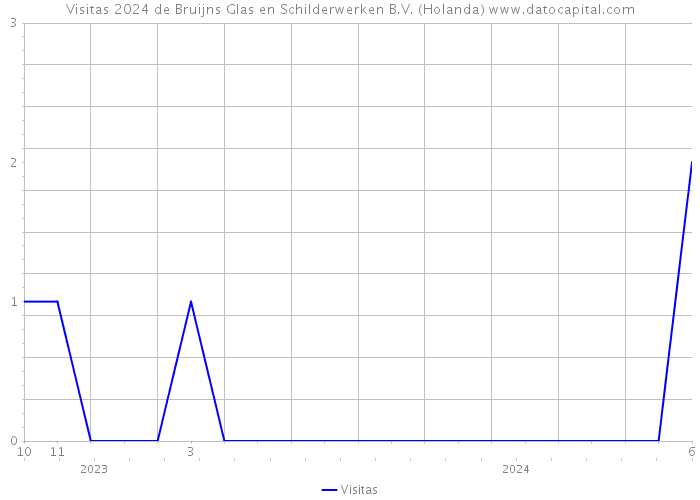 Visitas 2024 de Bruijns Glas en Schilderwerken B.V. (Holanda) 