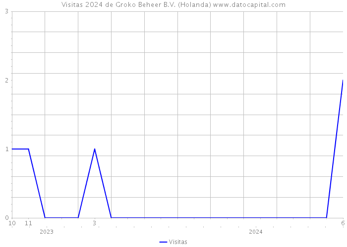 Visitas 2024 de Groko Beheer B.V. (Holanda) 