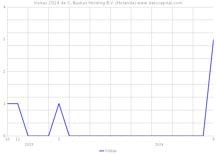 Visitas 2024 de G. Buskes Holding B.V. (Holanda) 