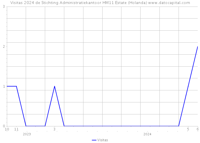 Visitas 2024 de Stichting Administratiekantoor HM11 Estate (Holanda) 