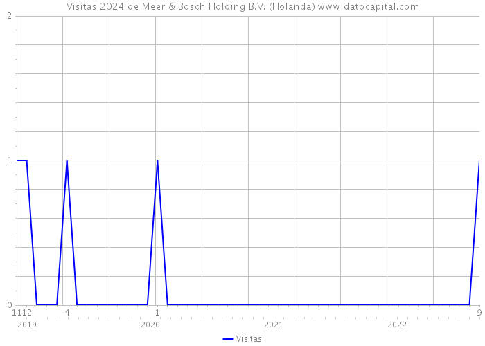 Visitas 2024 de Meer & Bosch Holding B.V. (Holanda) 