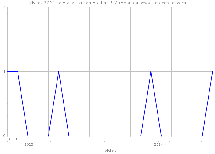 Visitas 2024 de H.A.M. Jansen Holding B.V. (Holanda) 