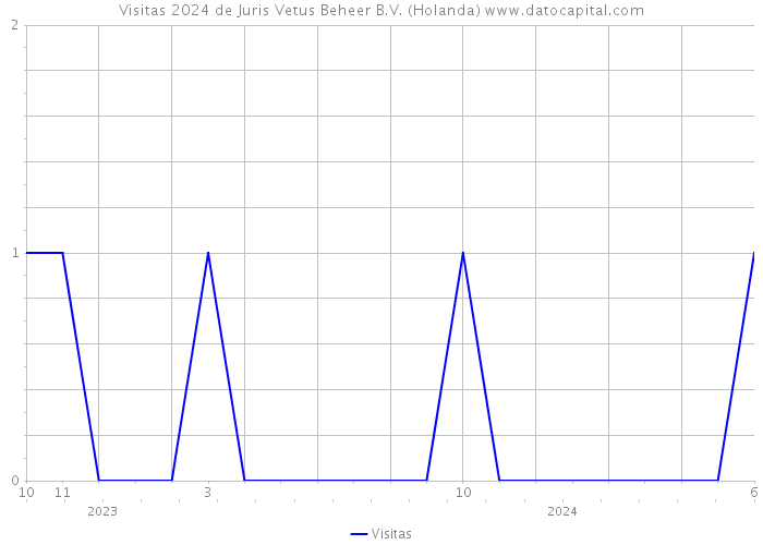 Visitas 2024 de Juris Vetus Beheer B.V. (Holanda) 