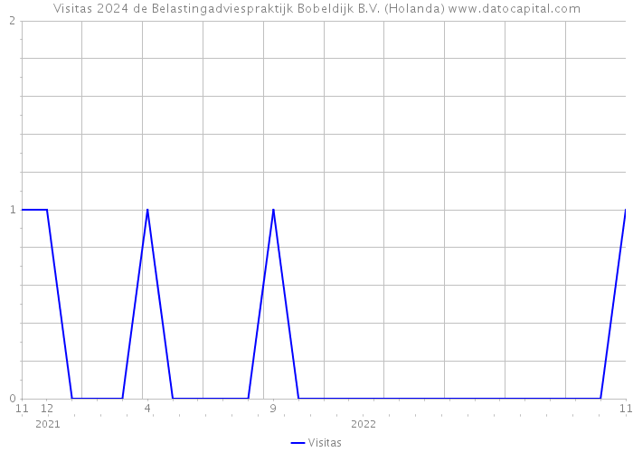 Visitas 2024 de Belastingadviespraktijk Bobeldijk B.V. (Holanda) 