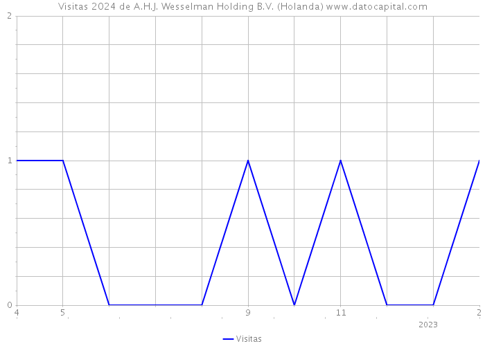 Visitas 2024 de A.H.J. Wesselman Holding B.V. (Holanda) 