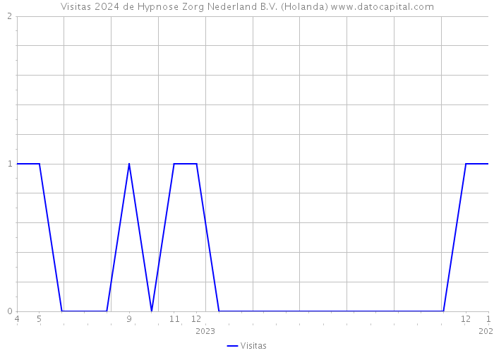 Visitas 2024 de Hypnose Zorg Nederland B.V. (Holanda) 