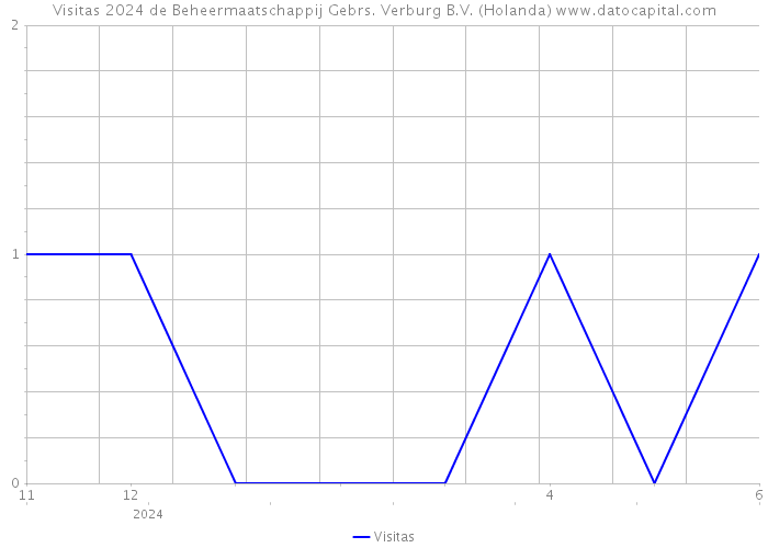 Visitas 2024 de Beheermaatschappij Gebrs. Verburg B.V. (Holanda) 