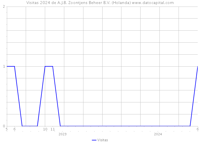 Visitas 2024 de A.J.B. Zoontjens Beheer B.V. (Holanda) 