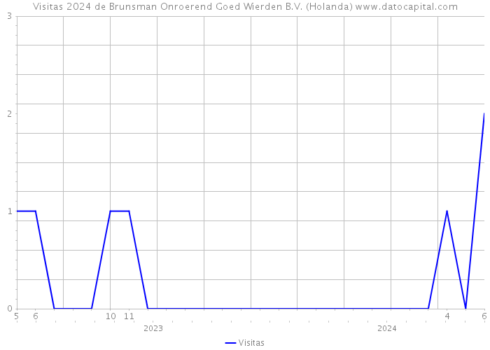 Visitas 2024 de Brunsman Onroerend Goed Wierden B.V. (Holanda) 