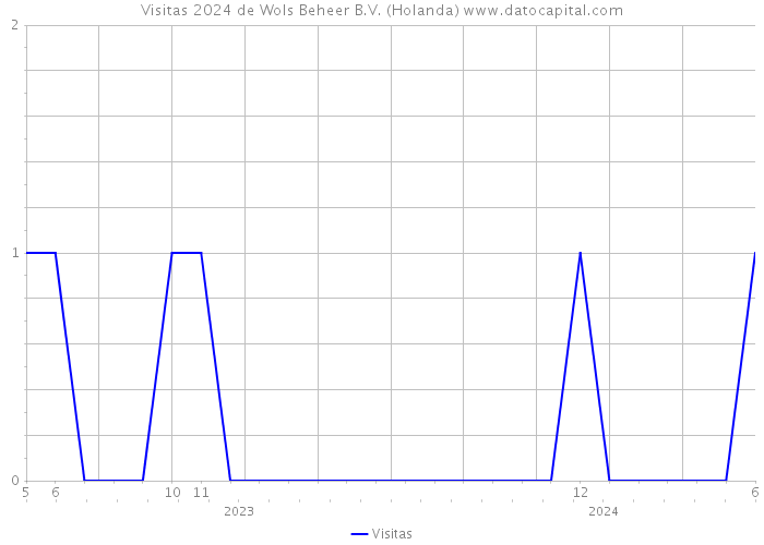 Visitas 2024 de Wols Beheer B.V. (Holanda) 