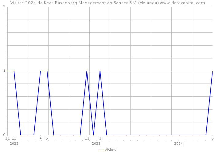 Visitas 2024 de Kees Rasenberg Management en Beheer B.V. (Holanda) 