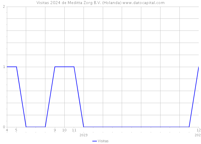 Visitas 2024 de Meditta Zorg B.V. (Holanda) 