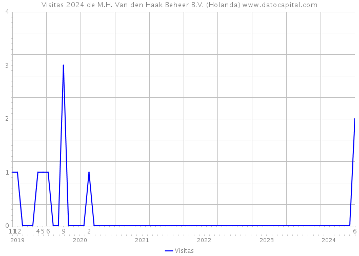 Visitas 2024 de M.H. Van den Haak Beheer B.V. (Holanda) 