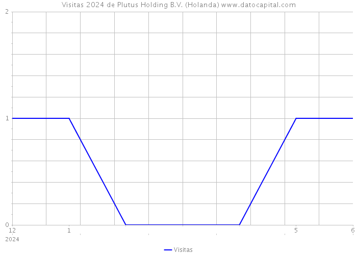 Visitas 2024 de Plutus Holding B.V. (Holanda) 