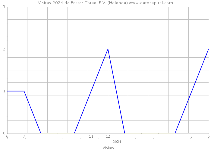 Visitas 2024 de Faster Totaal B.V. (Holanda) 