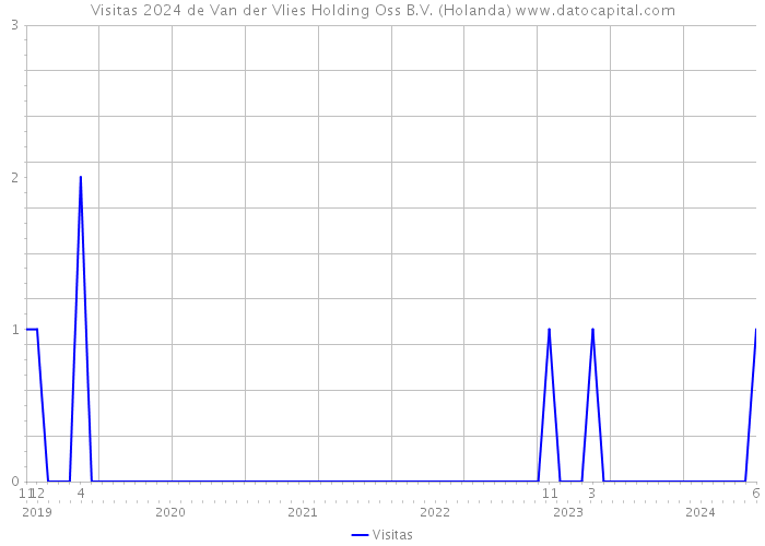 Visitas 2024 de Van der Vlies Holding Oss B.V. (Holanda) 