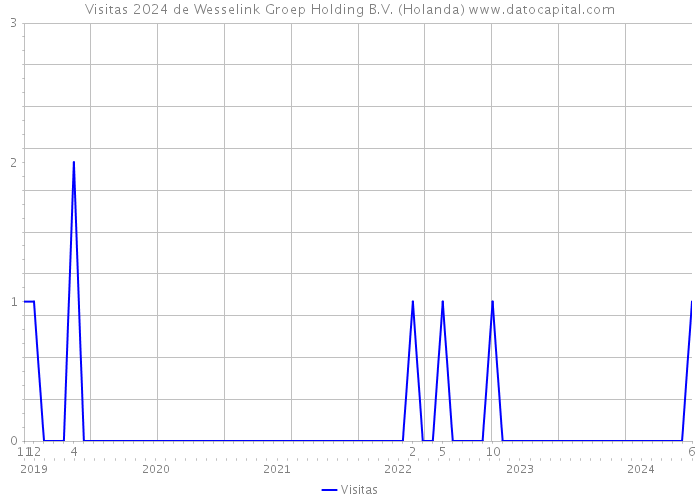 Visitas 2024 de Wesselink Groep Holding B.V. (Holanda) 