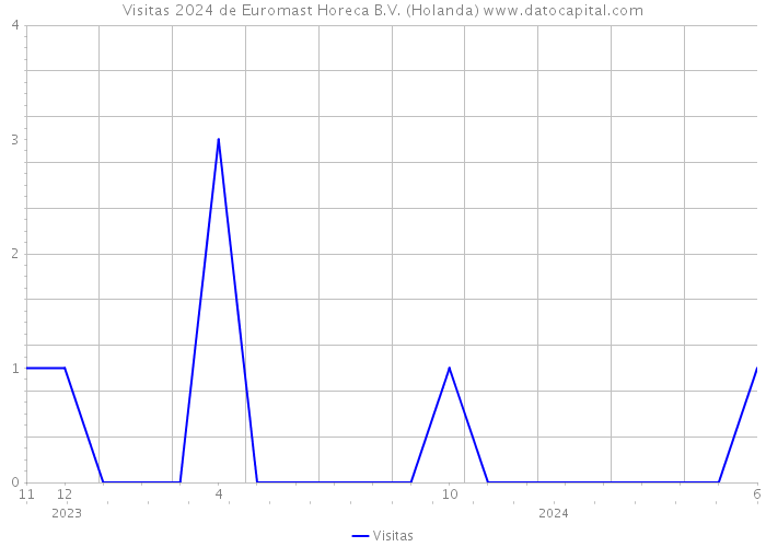 Visitas 2024 de Euromast Horeca B.V. (Holanda) 